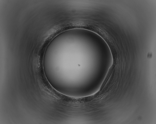 X0000091670731200708231328