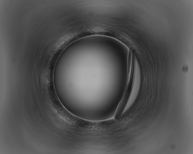 X0000091670732200708231328