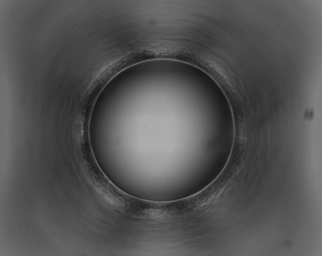 X0000091670733200708231328