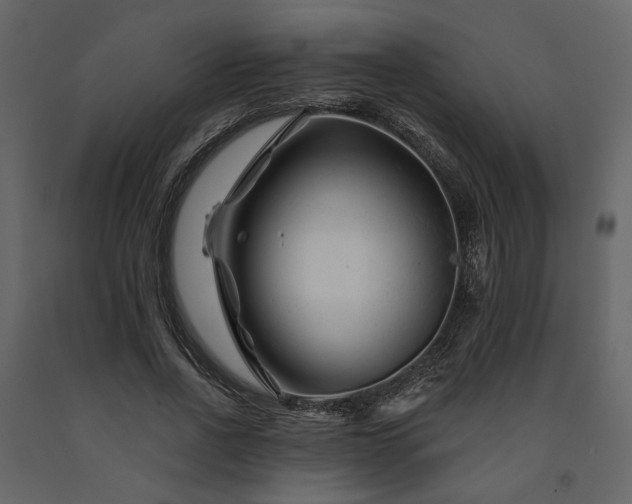X0000091670734200708231328