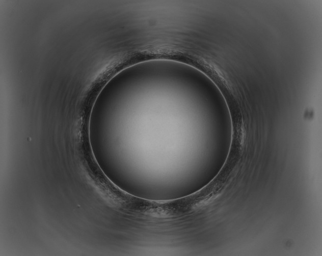 X0000091670735200708231328