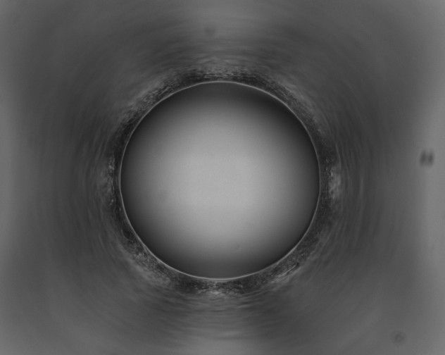 X0000091670737200708231329