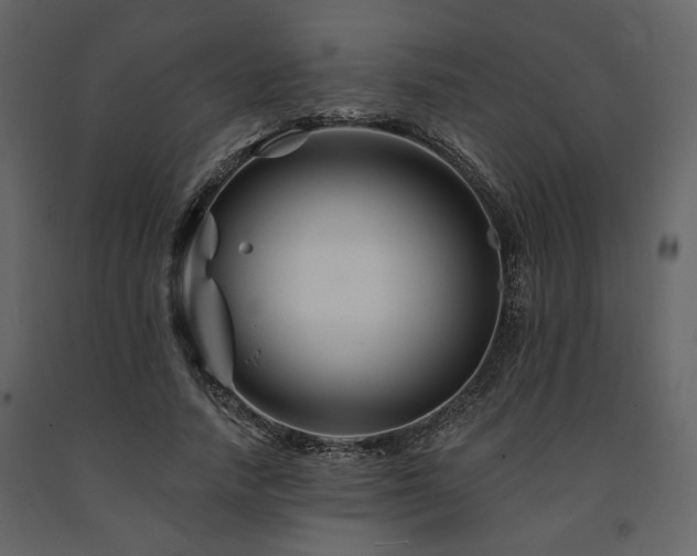 X0000091670738200708231329