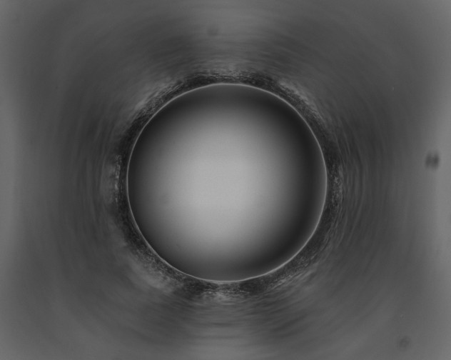 X0000091670739200708231329