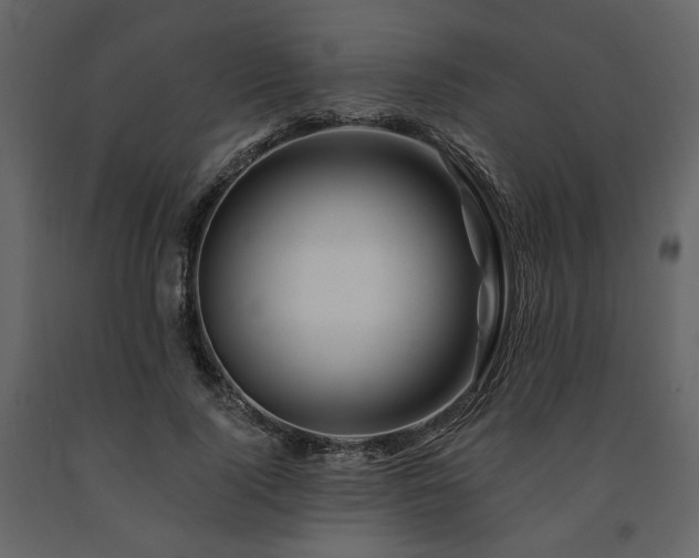 X0000091670740200708231329