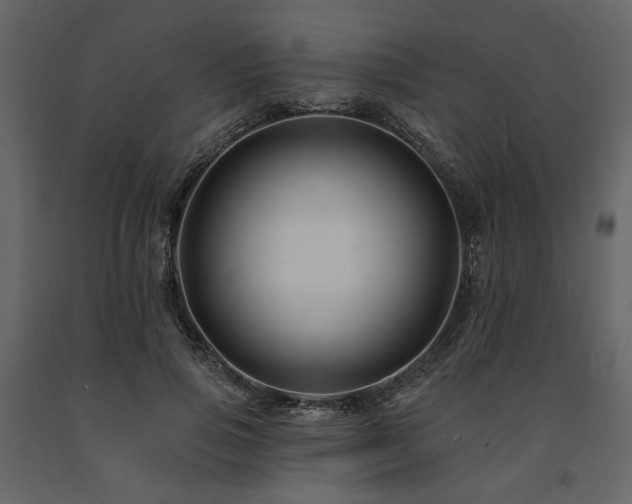 X0000091670741200708231329