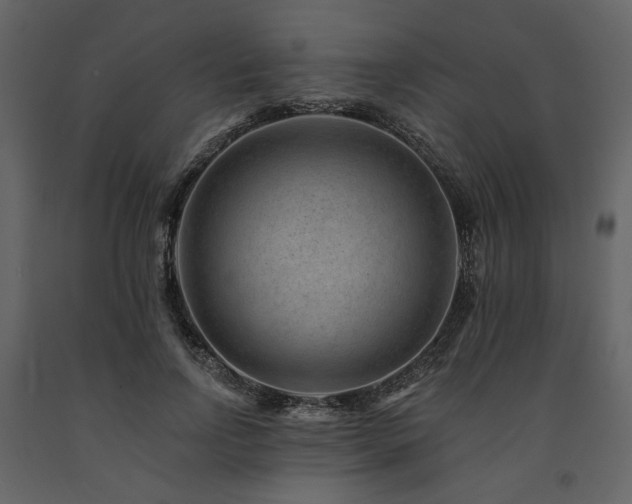 X0000091670742200708231329