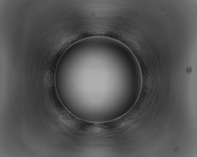 X0000091670743200708231329