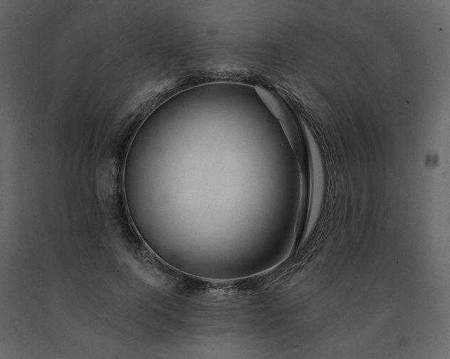 X0000091670744200708231329