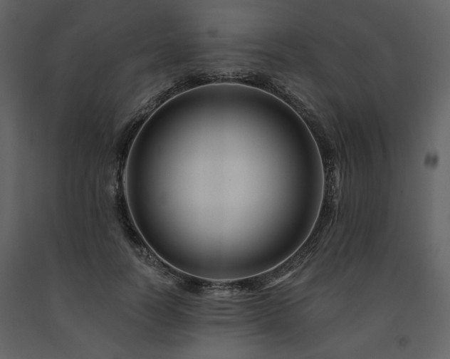 X0000091670746200708231329
