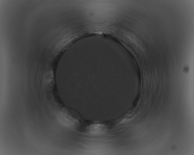 X0000091670748200708231329