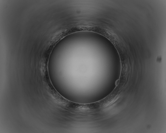 X0000091670749200708231329
