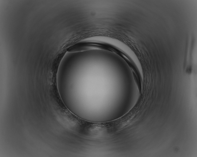 X0000091670750200708231329