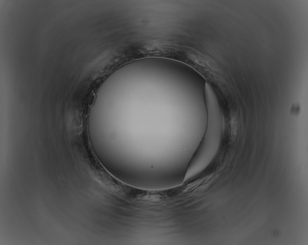 X0000091670751200708231329