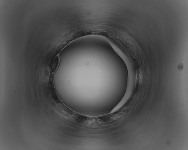 X0000091670752200708231329