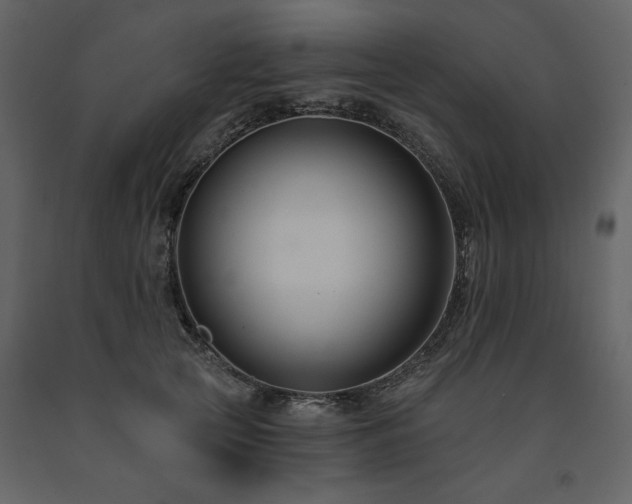 X0000091670753200708231329