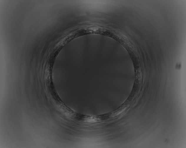 X0000091670754200708231329