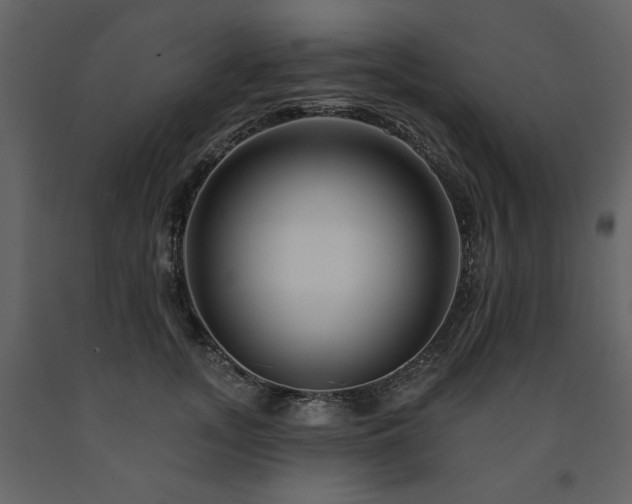 X0000091670755200708231329