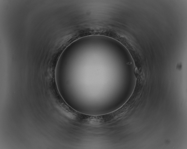 X0000091670756200708231329