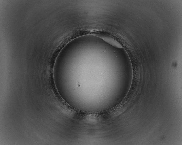 X0000091670757200708231329