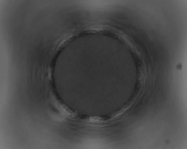 X0000091670758200708231329