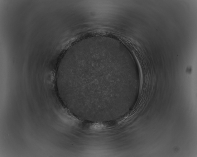 X0000091670759200708231329