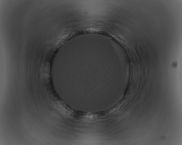 X0000091670760200708231329