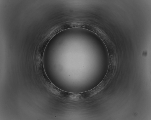 X0000091670761200708231329