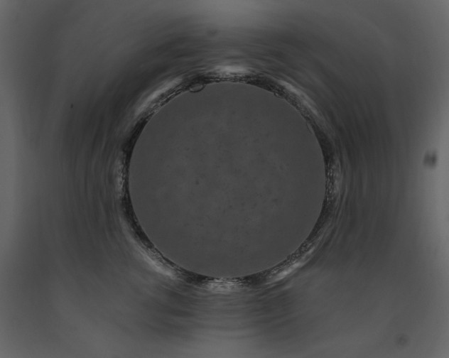 X0000091670762200708231329