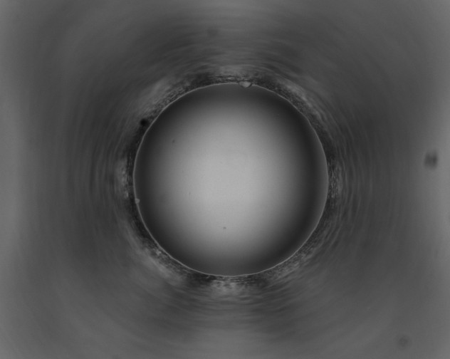 X0000091670764200708231329