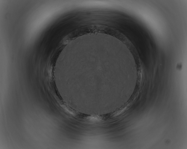 X0000091670765200708231329