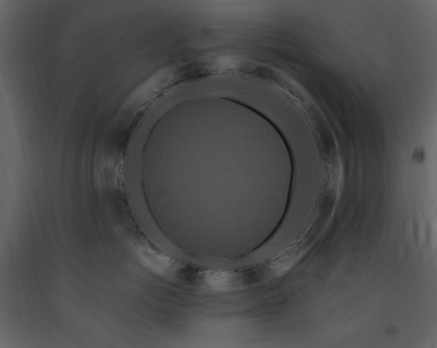 X0000091670766200708231329