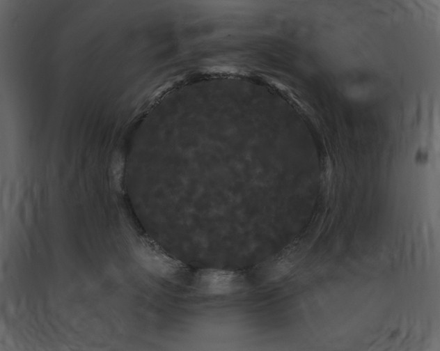X0000091670767200708231329