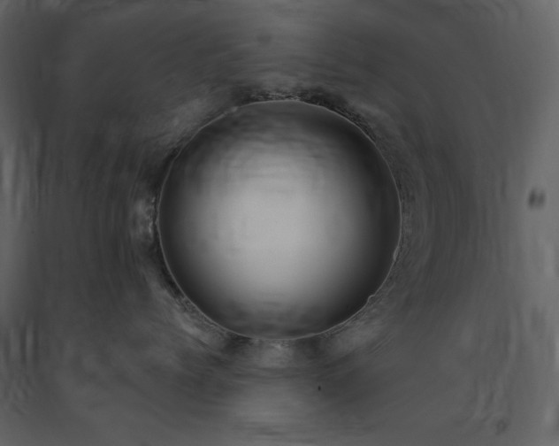 X0000091670768200708231329