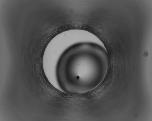 X0000091670769200708231328