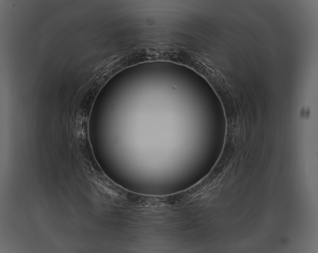X0000091670770200708231328