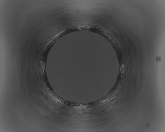 X0000091670772200708231328