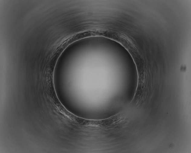 X0000091670773200708231328