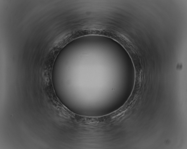 X0000091670774200708231328