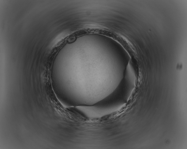X0000091670775200708231328