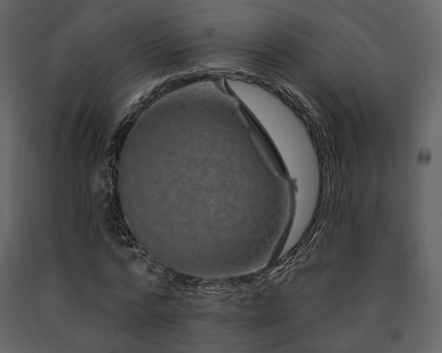 X0000091670776200708231328