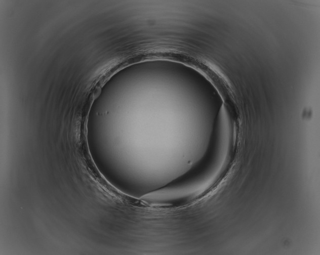 X0000091670777200708231328
