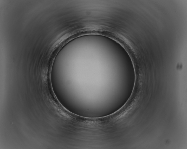 X0000091670778200708231328