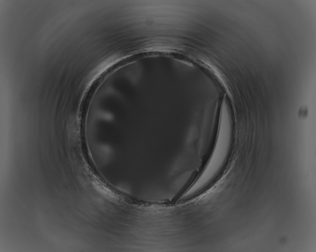 X0000091670779200708231328