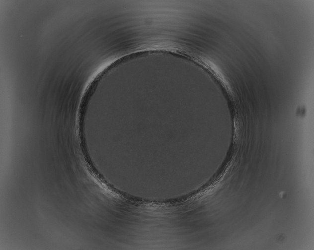 X0000091670780200708231328