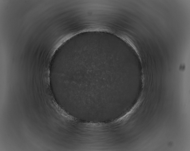X0000091670781200708231328