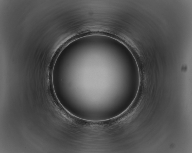 X0000091670782200708231328
