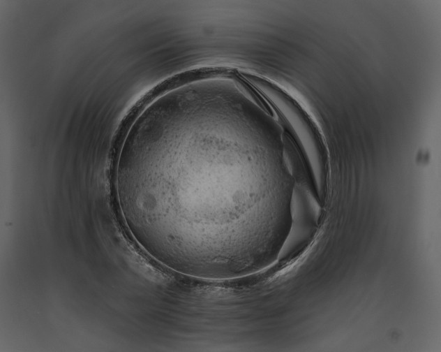 X0000091670783200708231328