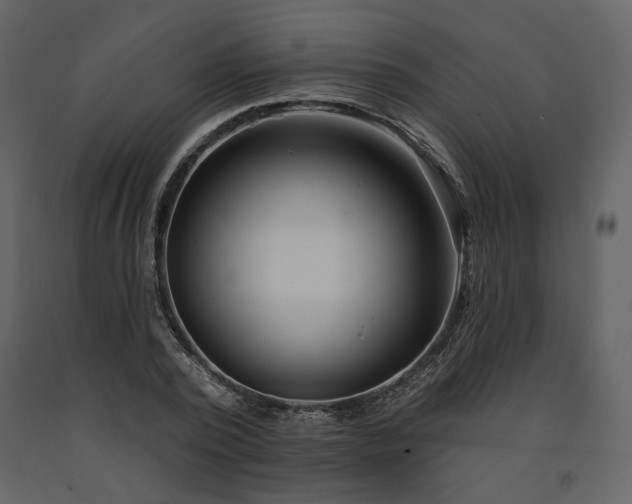 X0000091670784200708231328