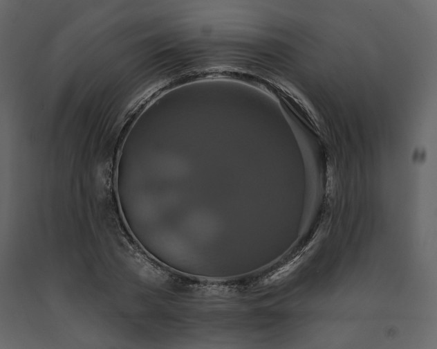 X0000091670785200708231328
